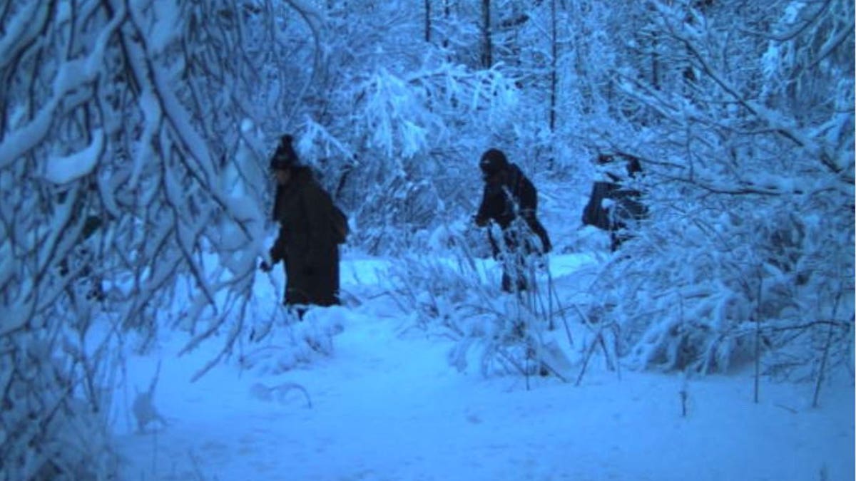 shady figures in the snowy forest