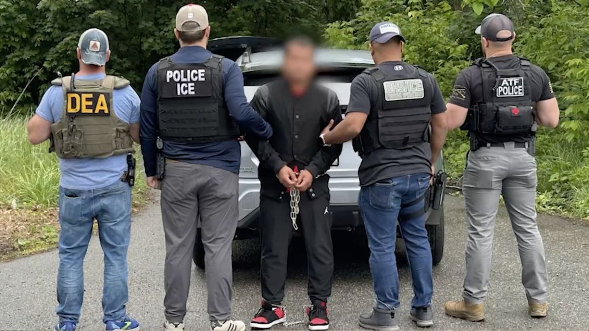 Ice Arrest Migrant Honduran